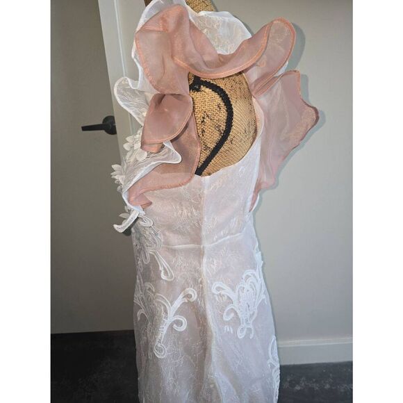 Aimili Lace Lined Dress - Picture 7 of 14